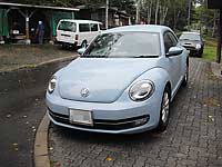 THE BEETLE