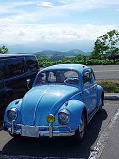 駐車場での青空ちゃん